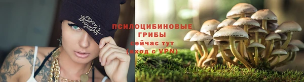 дурь Балахна